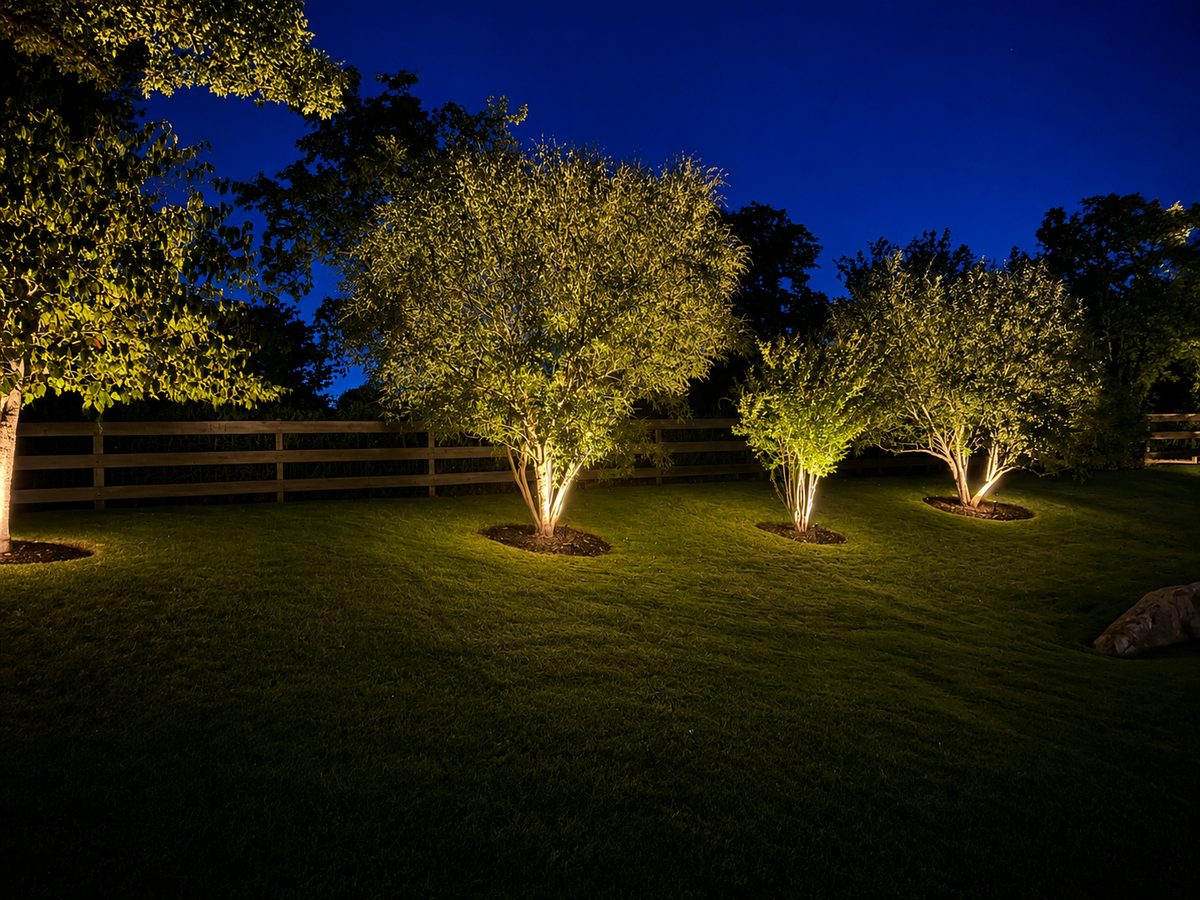 Premium residential home with layered landscape and architectural lighting