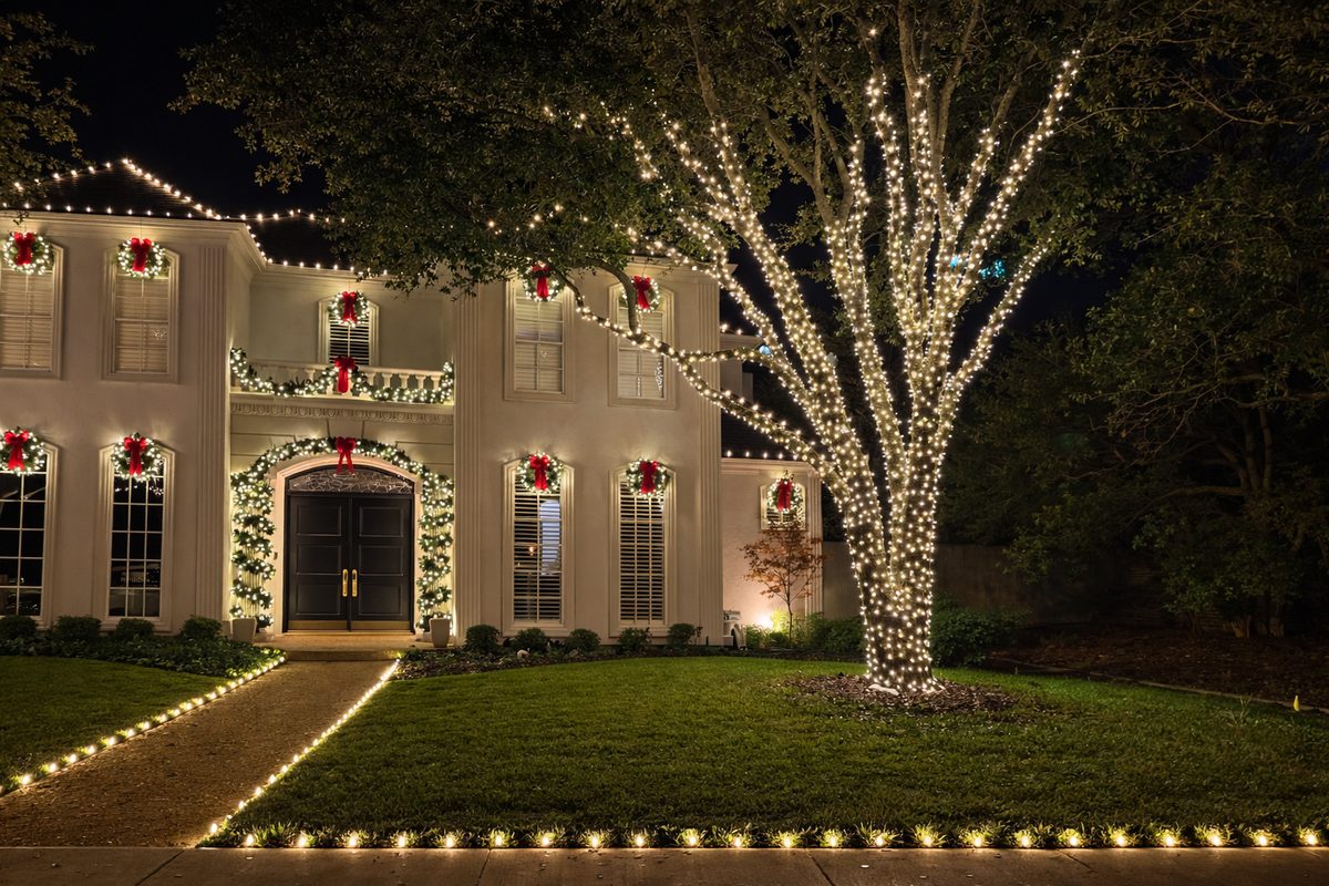 Warm Christmas lighting wrapping mature front-yard trees on a luxury lot