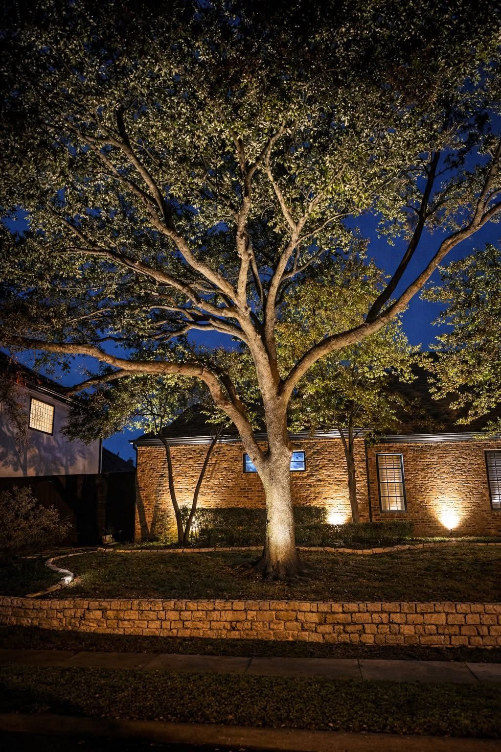 Tree uplighting in front of a brick home with architectural lighting