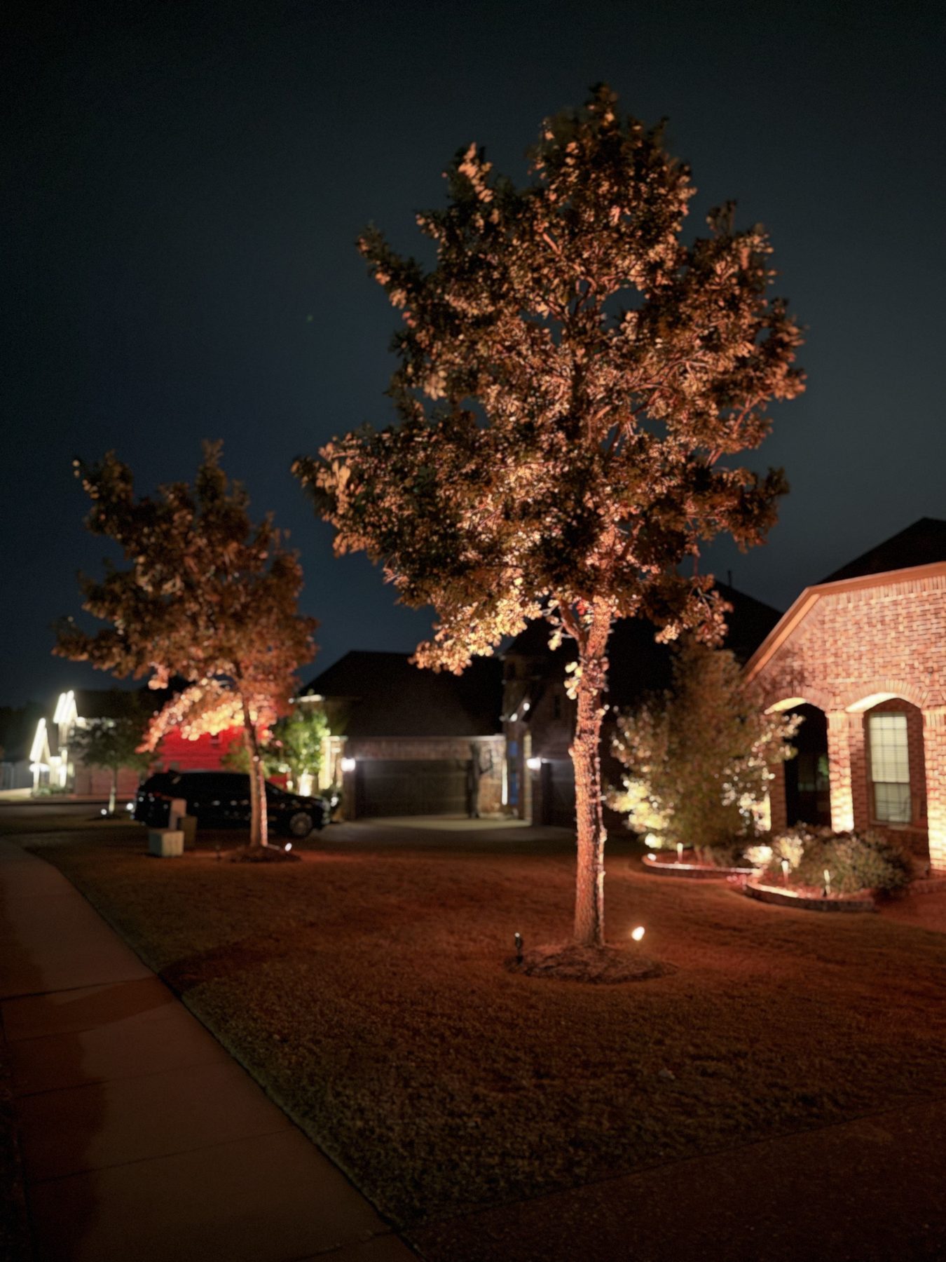 Tree uplighting on front-yard trees, with a brick home at the right