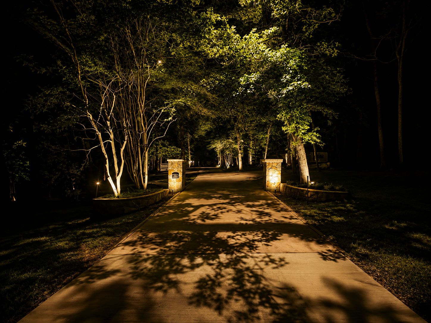 Wooded drive at night with tree shadows across the pavement