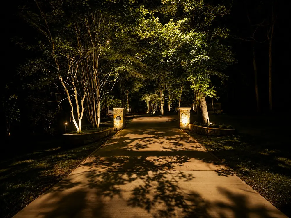 Wooded drive at night with tree shadows across the pavement
