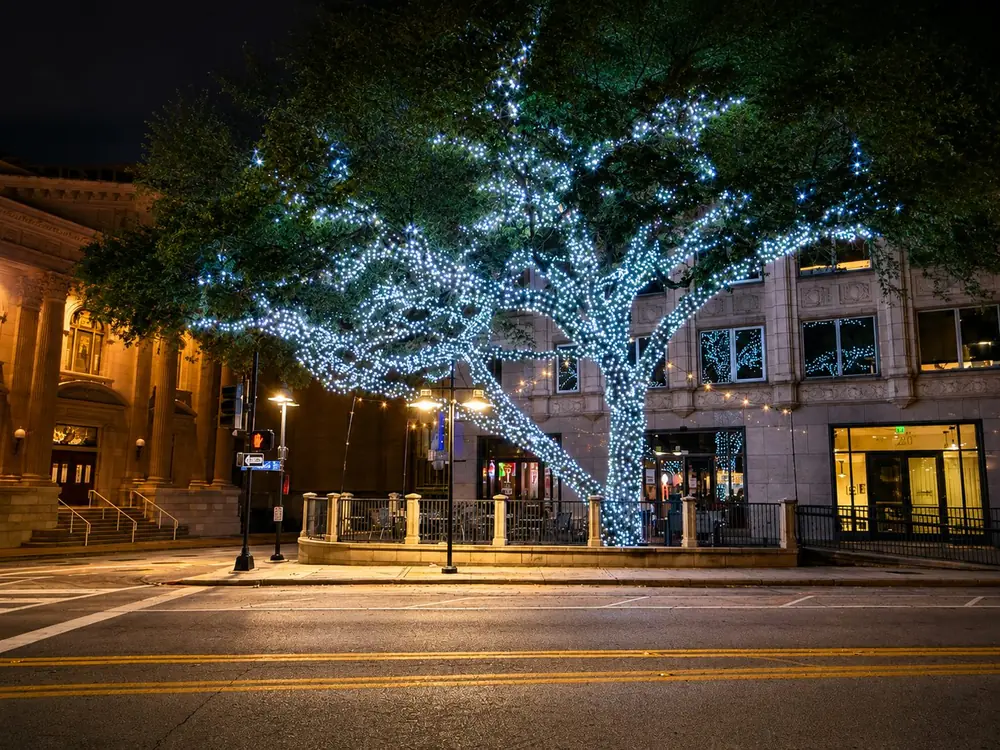 Commercial RGB Christmas lights in a warm color on a downtown tree