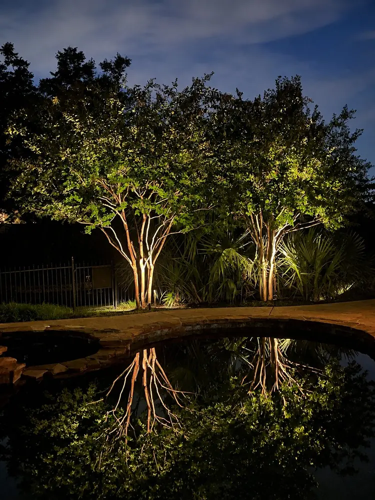 Tree uplighting on two crepe myrtles reflected in a pond