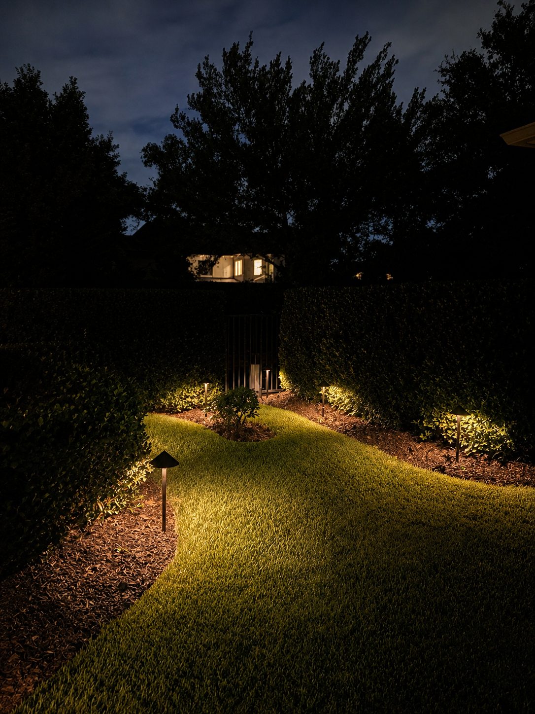 Path lights along a grass walk between hedges