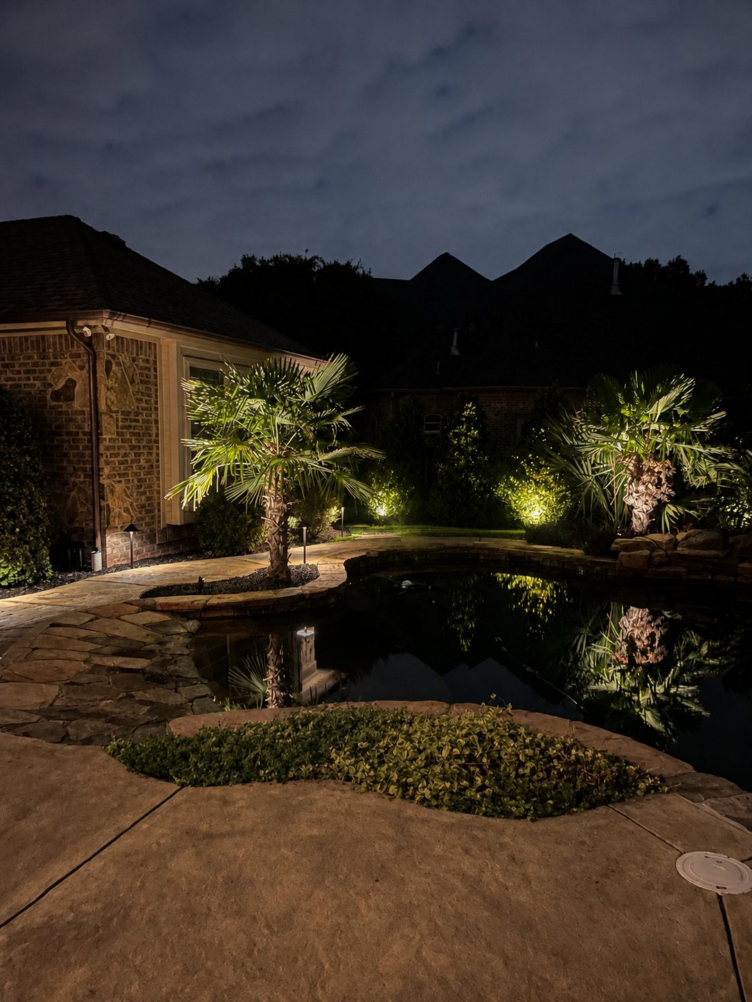 Tree uplighting on palms beside a pond at night, with path lights