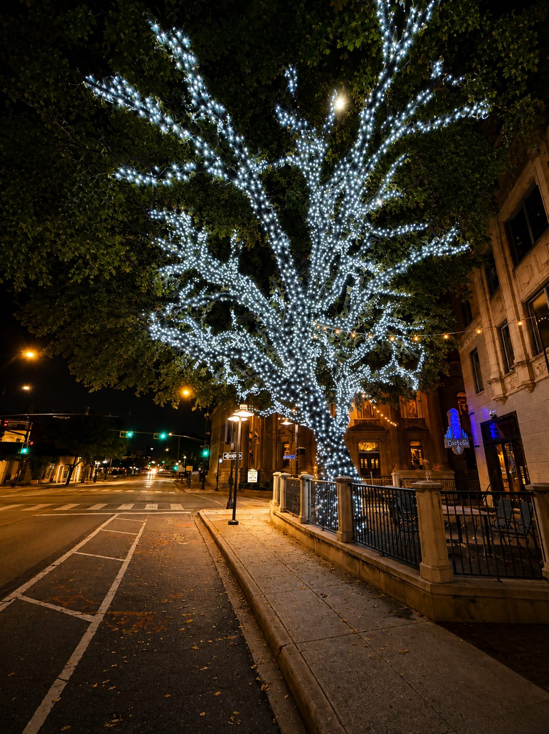 Large tree wrapped in cool white lights on a downtown street