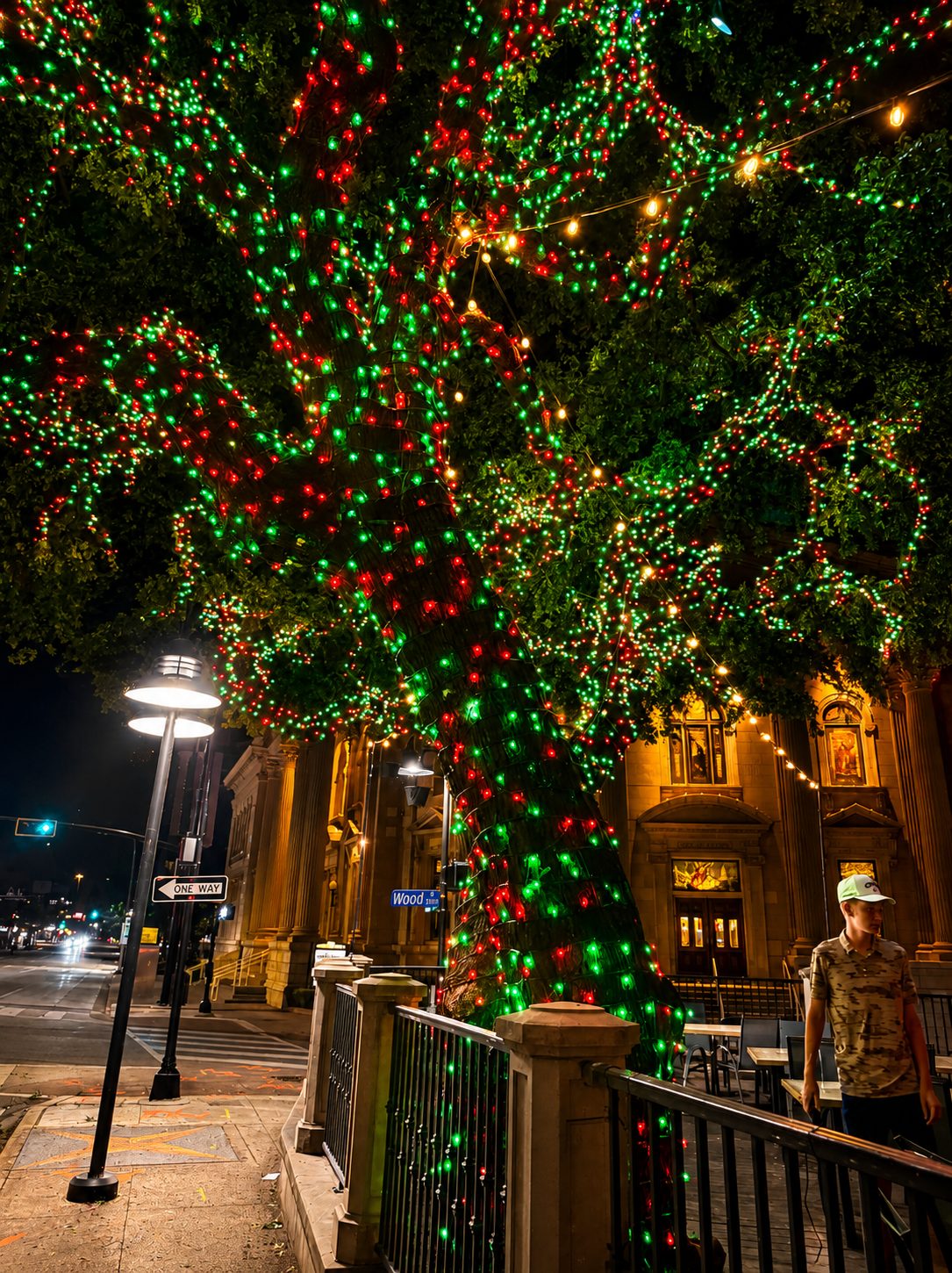 Large tree wrapped in red and green lights on a downtown street