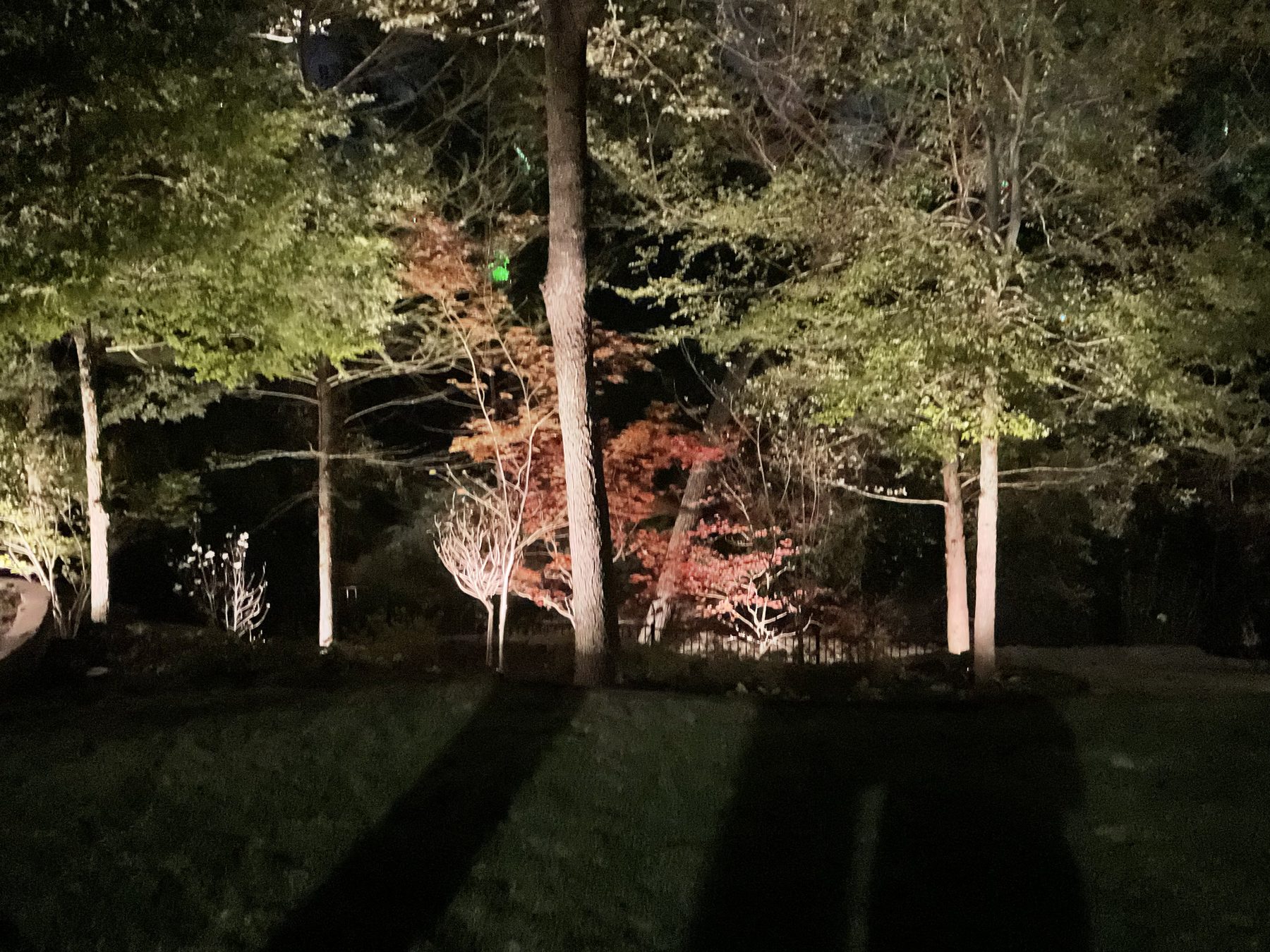 Tree uplighting across an open yard toward a home