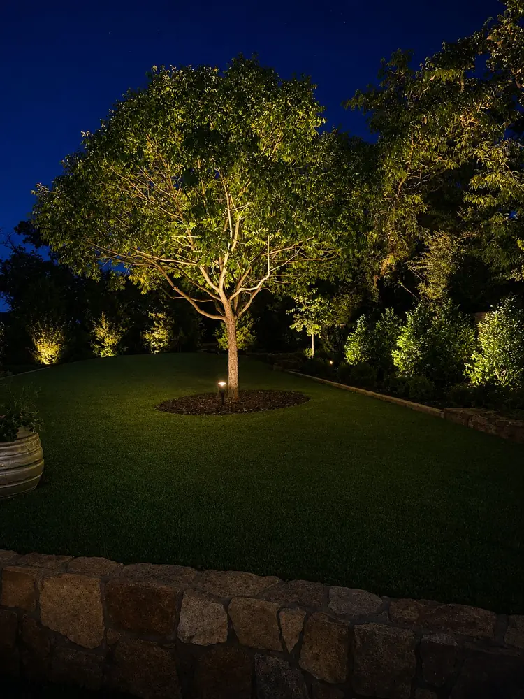 Tree uplighting on a single tree at night against a deep blue sky, with a low stone border