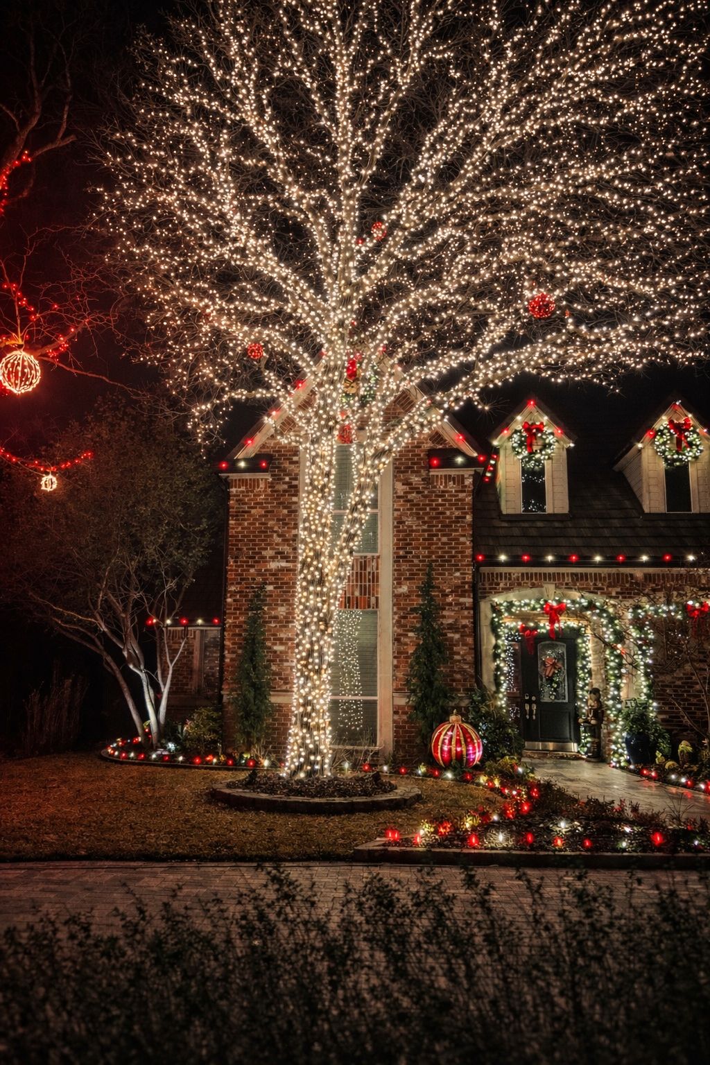Tall wrapped tree with red ornaments in front of a brick home with wreaths and garland